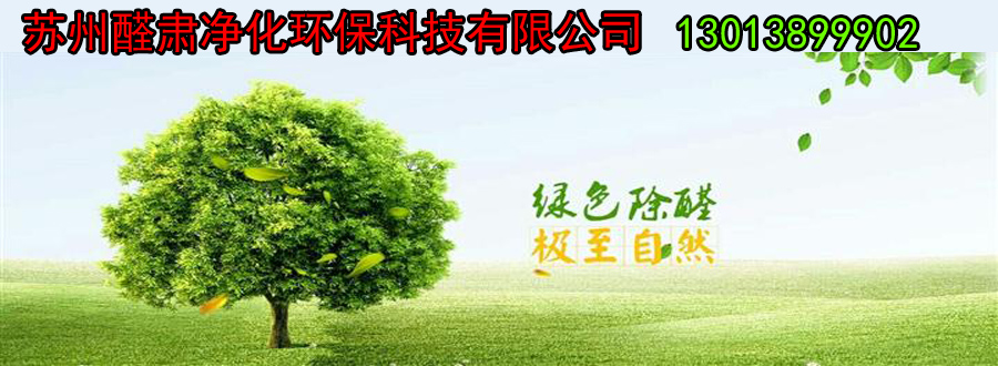 tai111111111111111111.jpg